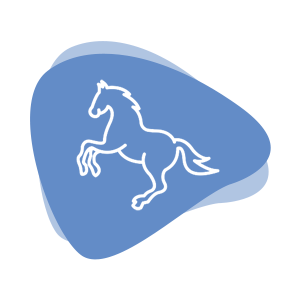 Cremare Infos Pferdekrematorien